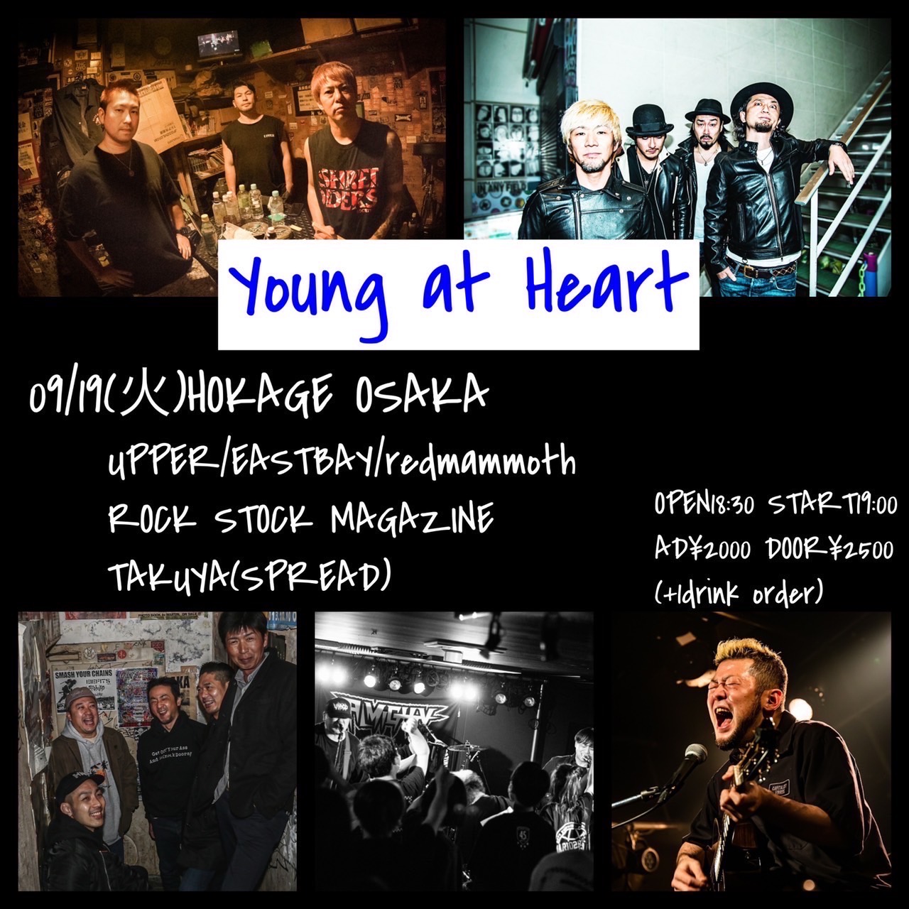 Young at Heartの写真
